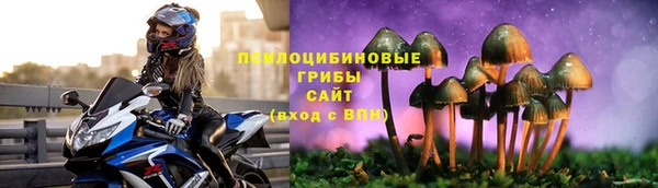 скорость Алзамай