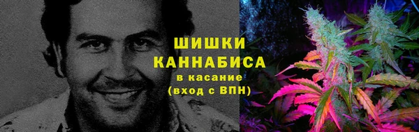 скорость Алзамай